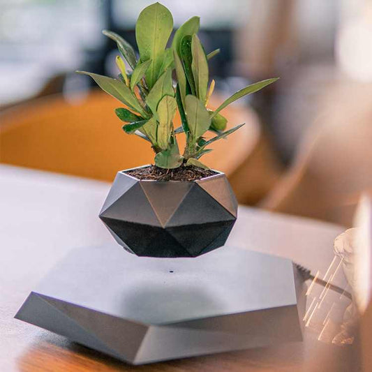 Elevate Your Space: The Allure of the Floating Planter