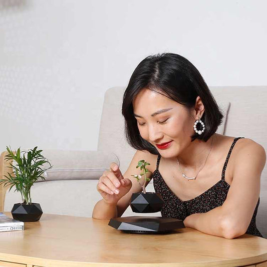 The Magic of Modern Design: Exploring the Levitating Planter
