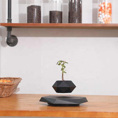 LeviBloom Magnetic Levitating Indoor Flower Pot