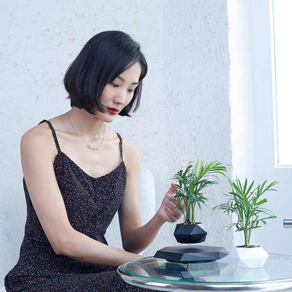 LeviBloom Magnetic Levitating Indoor Flower Pot