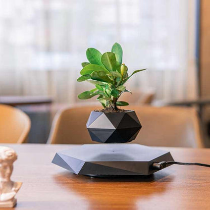 LeviBloom Magnetic Levitating Indoor Flower Pot