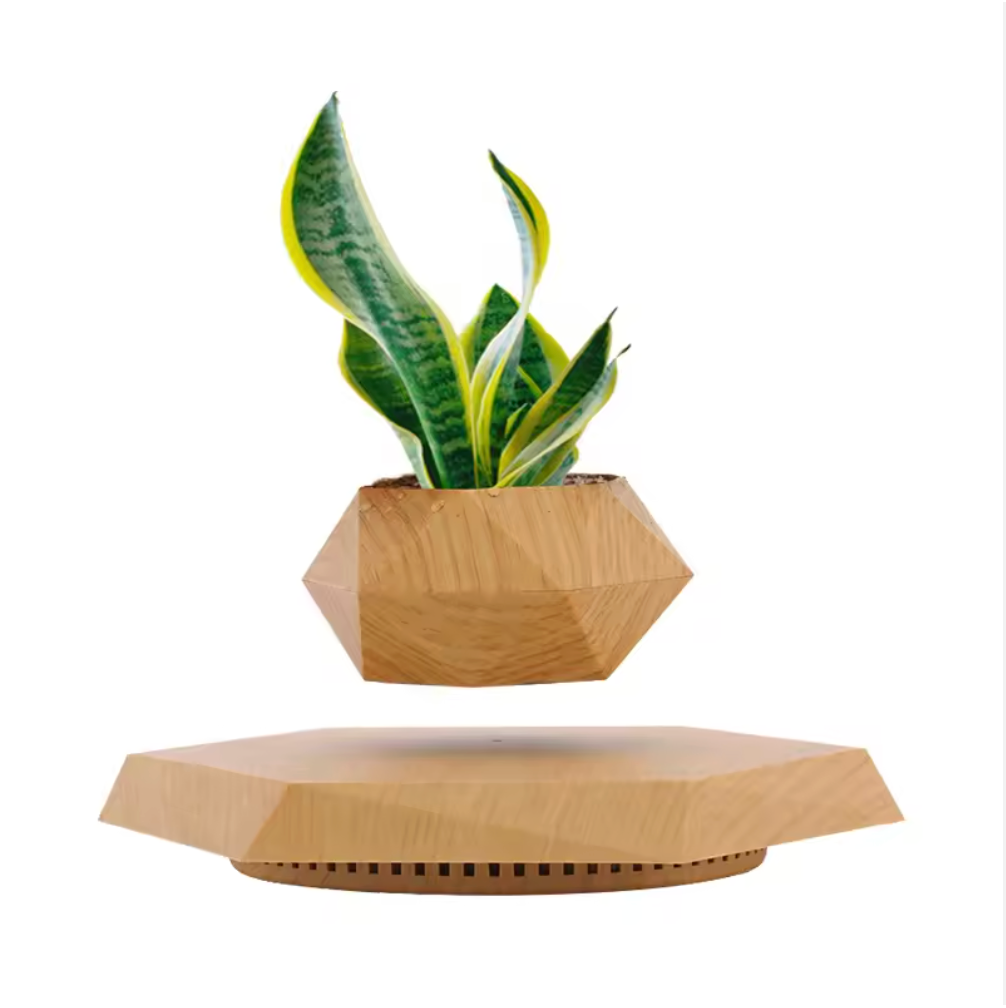 LeviBloom Magnetic Levitating Indoor Flower Pot
