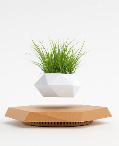 LeviBloom Magnetic Levitating Indoor Flower Pot